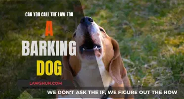 How to Deal With a Barking Dog: Knowing Your Legal Rights