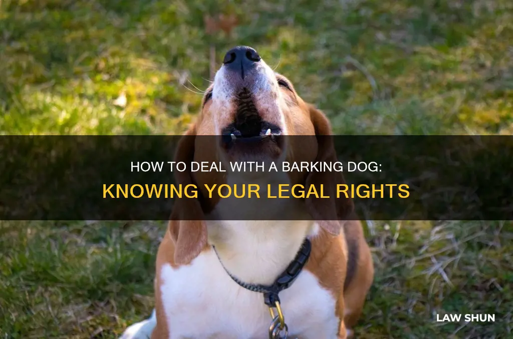can you call the law for a barking dog