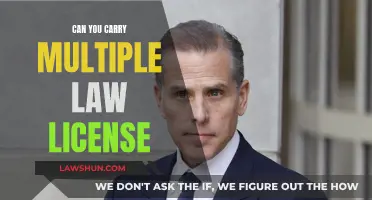 Juggling Multiple Law Licenses: Is It Possible?