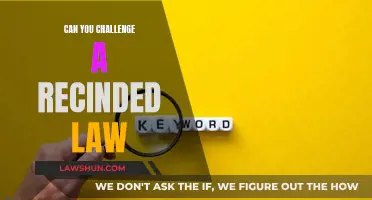 Challenging a Revoked Law: Is It Possible?