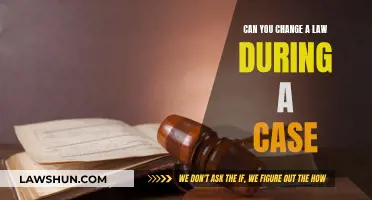 How Laws Change During Court Cases