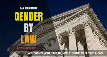 Exploring Gender Identity: Legal Recognition and Transitioning