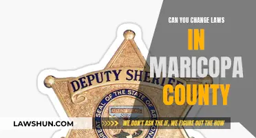 How Maricopa County Residents Can Change Local Laws