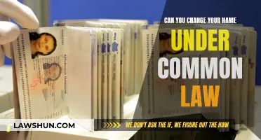Name Changes and Common Law: What's Allowed?