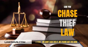 Theft and Chasing a Thief: What the Law Says