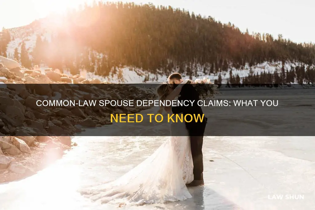 can you claim a common law spouse as a dependent