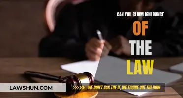 Ignorance of the Law: A Valid Defense Strategy?