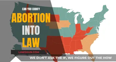 Abortion Law: Codifying a Woman's Right