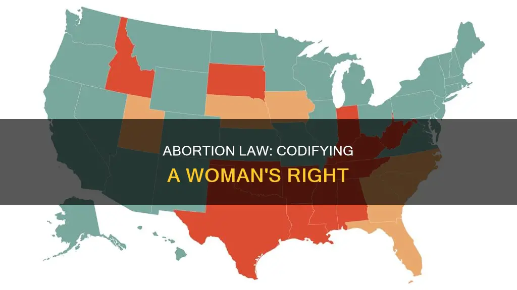 can you codify abortion into law