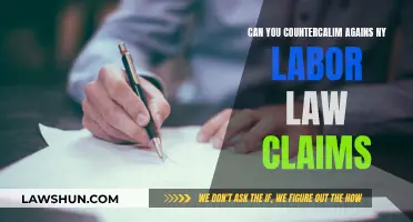 Labor Law Counterclaims: Can You Fight Back Twice?