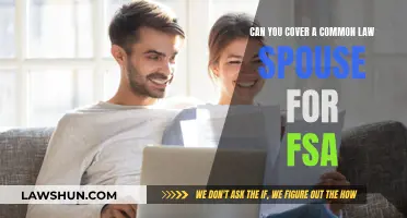 Common-Law Spouse Coverage: FSA-Eligible Expenses