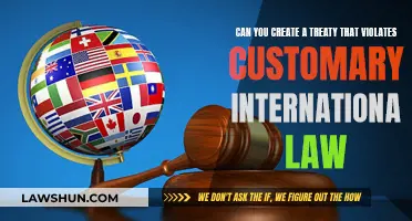 Customary International Law: Treaties and Their Limits