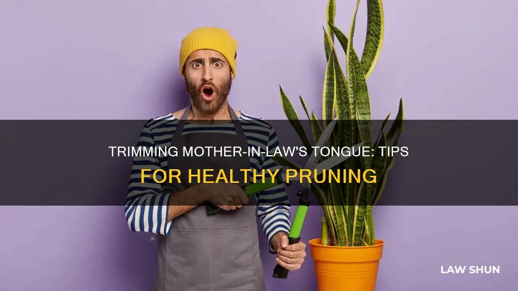 can you cut back mother in law