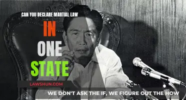 Martial Law: State-by-State Declaration?