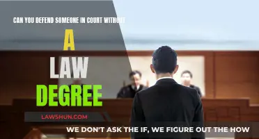Defending in Court: Do You Need a Law Degree?