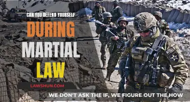 Martial Law: Self-Defense Strategies and Legal Boundaries