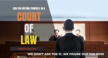 Defending Yourself in Court: Is It Possible?