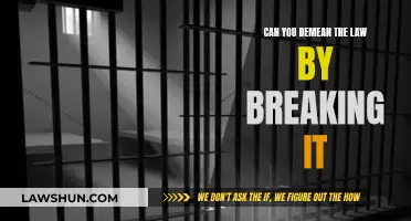 Law-Breaking: Demeaning the Law and Its Dignity