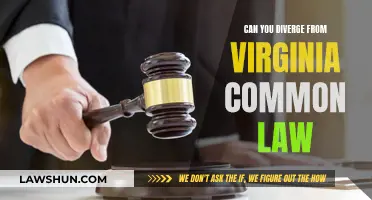 Common Law Flexibility in Virginia: Exploring Unique Paths
