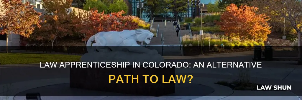 can you do a law apprenticeship in colorado