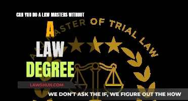 Pursuing a Law Masters: Do You Need a Law Degree?