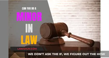 Exploring Law as a Minor: Options and Opportunities