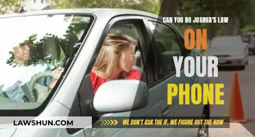 Completing Joshua's Law: Mobile Options for Teen Drivers