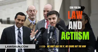 Activism and Law: A Balancing Act