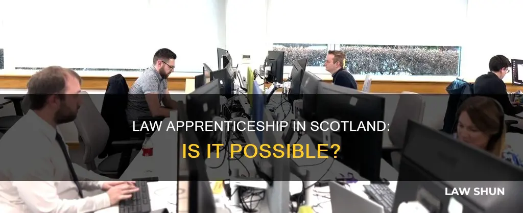 can you do law apprenticeship in sc
