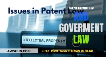 Patent and Government Law: A Career Convergence?