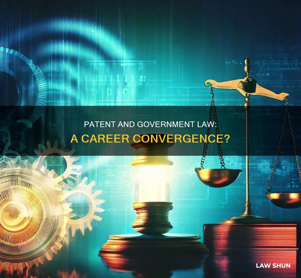 can you do patent law and goverment law