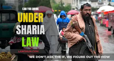 Sharia Law and Alcohol: What's Allowed?