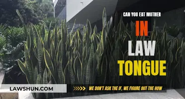 Is Mother-in-Law's Tongue Edible?