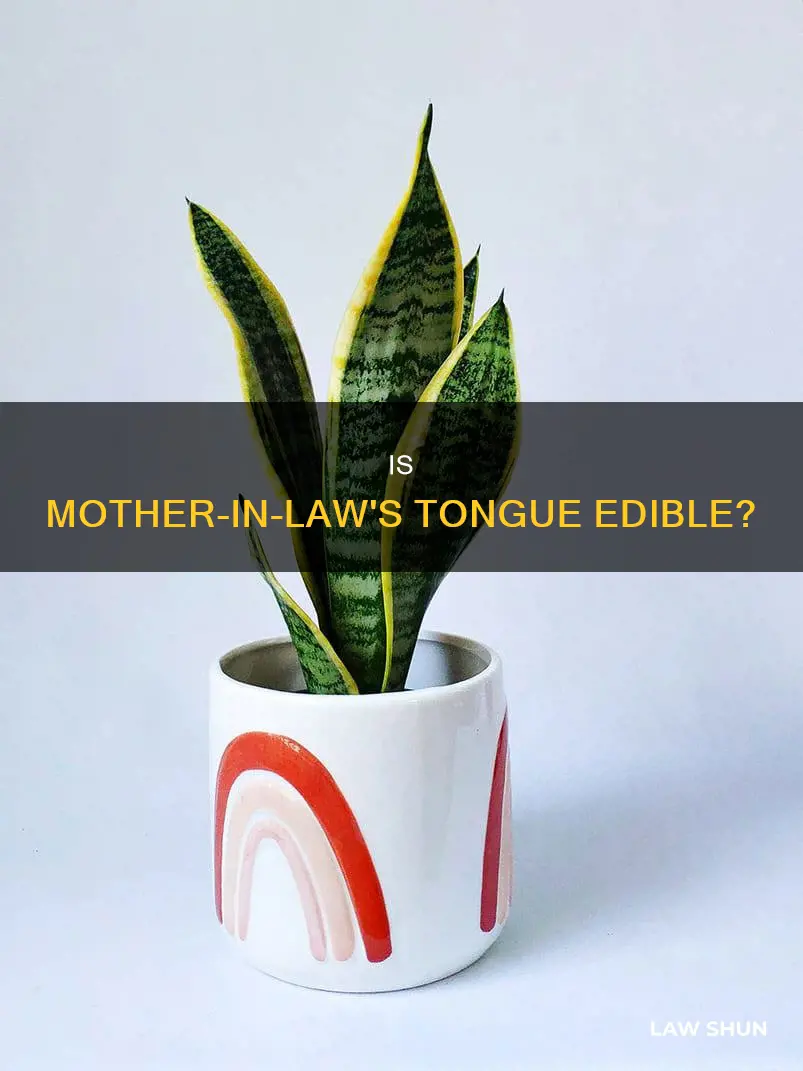 can you eat mother in law tongue