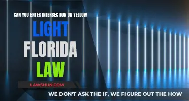 Florida's Yellow Light Dilemma: Intersection Entry Law Explained