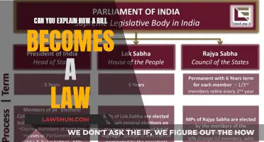 How a Bill Becomes a Law: A Guide