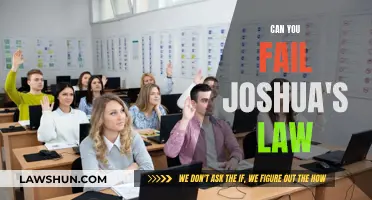Joshua's Law: Passing or Failing Teen Drivers in Georgia