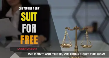 Filing Lawsuits: Are There Any Free Options?