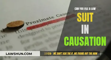 Understanding Causation in Lawsuits: Your Guide
