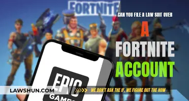 Fortnite Accounts: Can You Sue for Them?