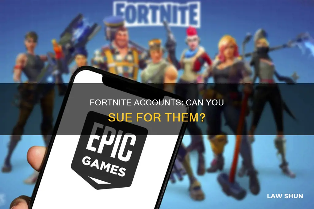 can you file a law suit over a fortnite account
