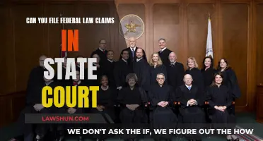 Federal Law Claims: State Court Jurisdiction?
