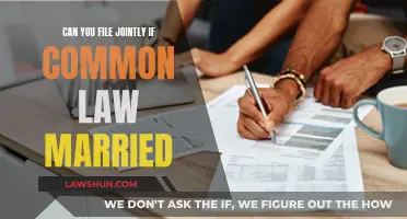 Understanding Joint Filing Options for Common-Law Couples