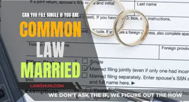 Understanding Common-Law Marriage and Tax Filing Status
