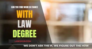 Finding Work in France: Law Degree Opportunities