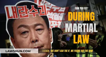 Martial Law: Air Travel Restrictions and Your Rights