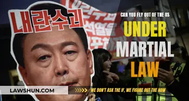 Martial Law: Flying Out of the US?