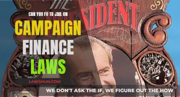 Campaign Finance Laws: Jail Time Possible?