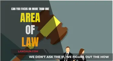 Focusing on Multiple Legal Areas: A Smart Strategy?