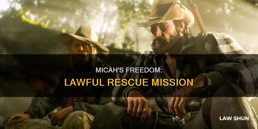 can you free micah without breaking the law